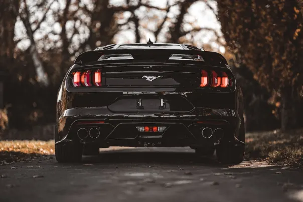 Kazino Posh Bingo Android/iOS programa